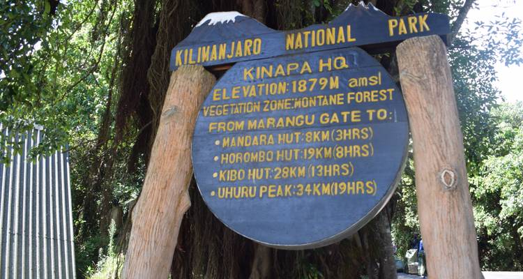 1 day mount Kilimanjaro short trek - Serengeti Access Safaris 4