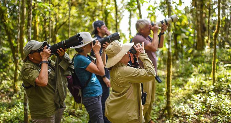 Grupo de personas con cámaras observando la naturaleza.