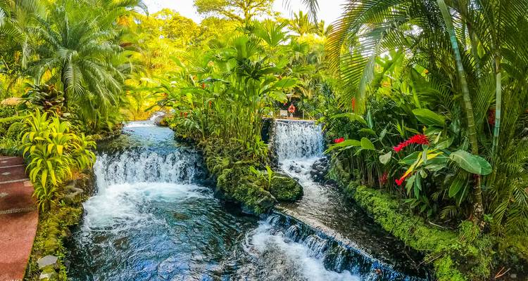Jardín tropical con cascadas y vegetación exuberante.