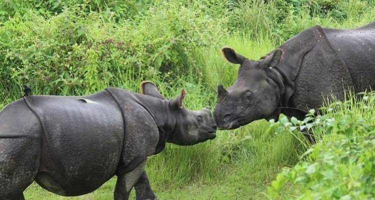India with Nepal Tour- Best Seller - World Travel Experiences 6