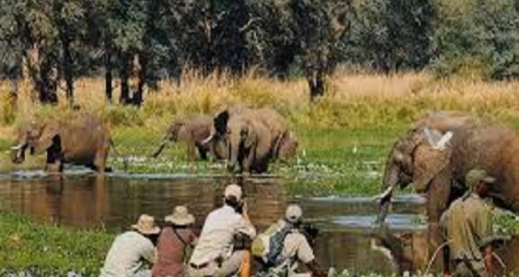 3 Days Tanzania Private Safari Adventures - Kilingeadventures 5