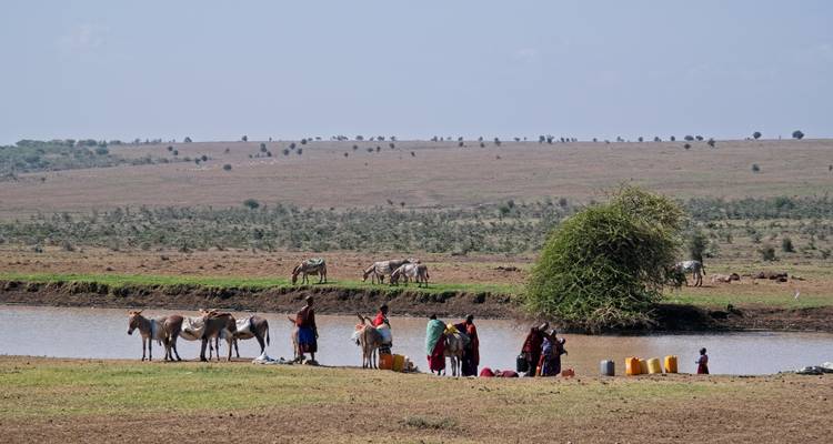 5 Días Descubre el Esplendor de la Fauna de Tanzania - Serengeti Access Safaris 7