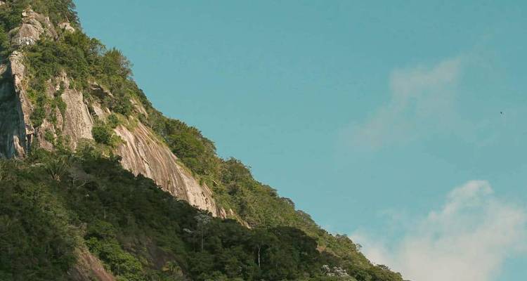 Un acantilado de granito pronunciado y cubierto de bosque se alza contra un cielo azul despejado.