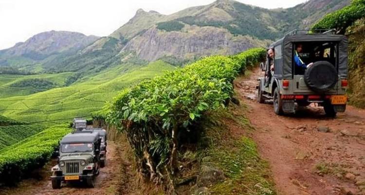South India Tour with Overnight in Houseboat (Cochin, Munnar and Alleppey) - Relax Getaways Pvt. Ltd 2