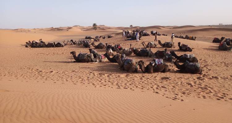 De Marrakech al Sáhara en 3 días (Circuito Privado de Lujo Hoteles 4*) - Best Tours Morocco 8