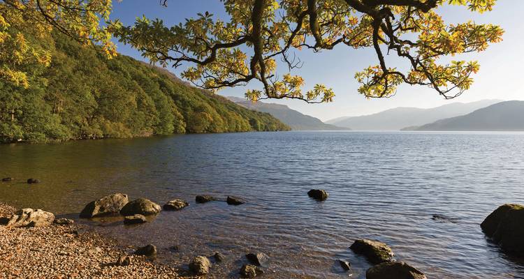 Vue panoramique du Loch Ness avec des collines et une branche d'arbre au premier plan.