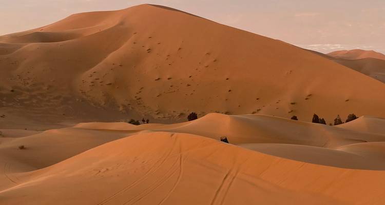Dunes de sable dans un paysage désertique