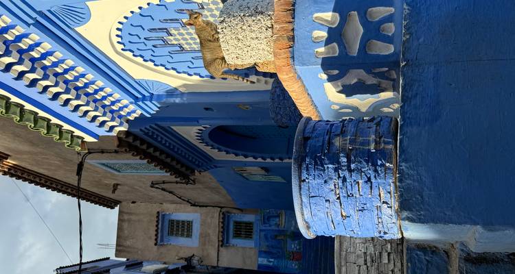 Bâtiment bleu coloré avec un chat et une architecture traditionnelle
