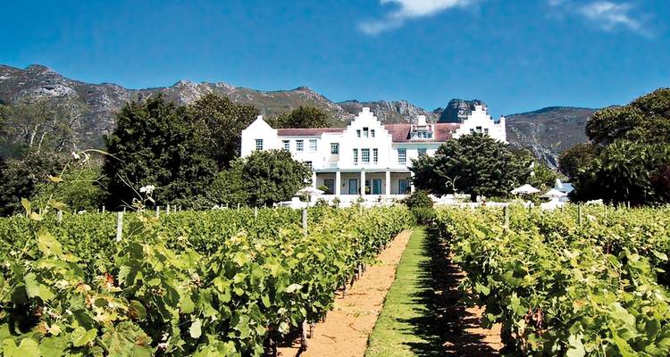 Vignoble avec un manoir de style colonial et des montagnes.