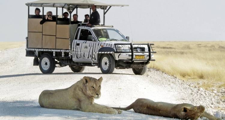 Colección Gondwana: Libro de ilustraciones Namibia - MEIERS WELTREISEN 4