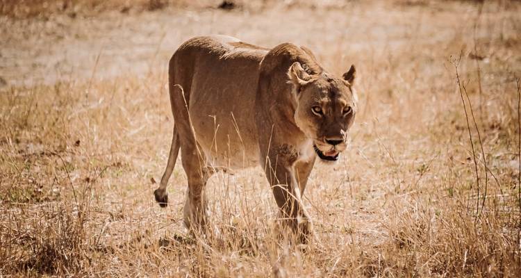 Gondwana Collection: Picture book Namibia - MEIERS WELTREISEN 4
