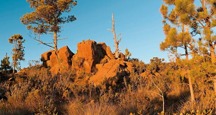 Formation rocheuse ensoleillée entourée de végétation.