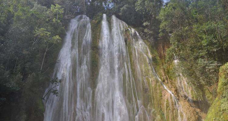 Wasserfall, umgeben von üppiger Vegetation.