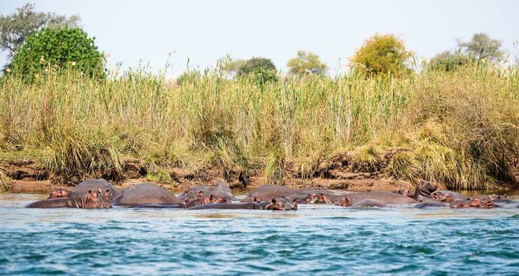 Zambezi Queen - MEIERS WELTREISEN 2
