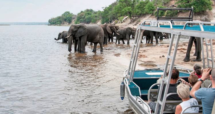 Tourists on a boat observing elephants on the riverbank.