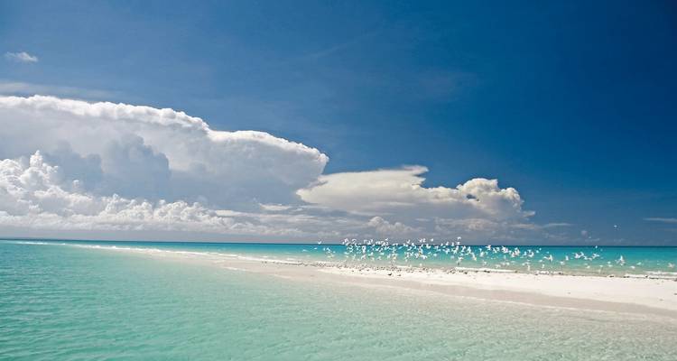 Une plage immaculée avec du sable blanc et une eau bleu clair.