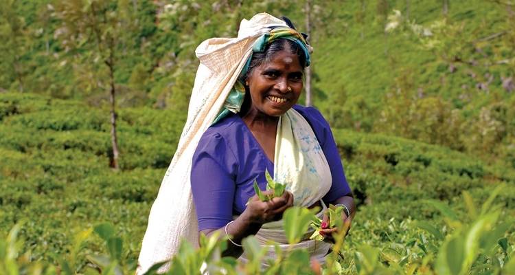 Découvrir le Sri Lanka de près - MEIERS WELTREISEN 3