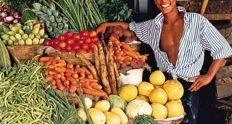 Découvrir le Sri Lanka de près - MEIERS WELTREISEN 7