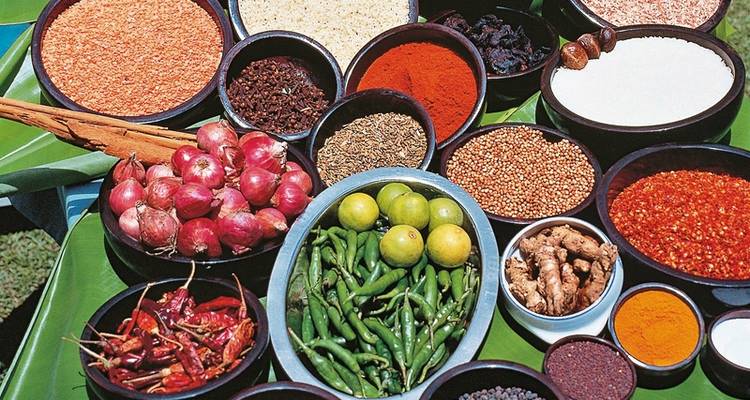 Découvrir le Sri Lanka de près - MEIERS WELTREISEN 10