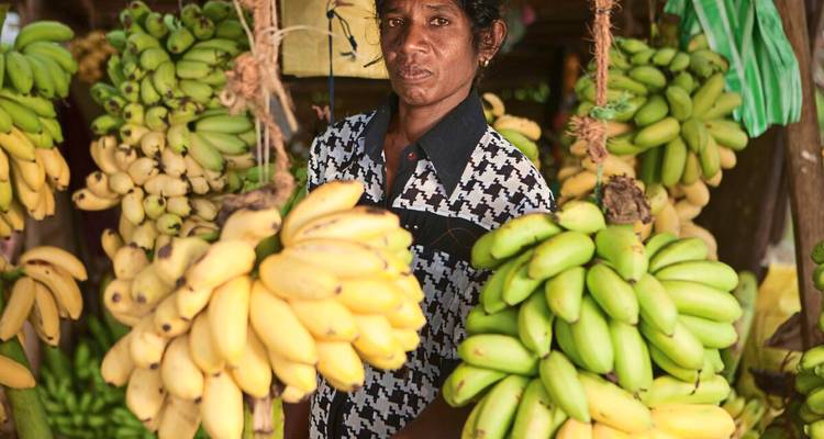 A woman stands among hanging clusters of ripe and green bananas at her stall.