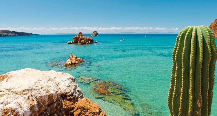 Baja California entre el desierto y el mar - MEIERS WELTREISEN 2