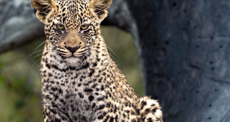 East Africa Discovery - T.S TOURS 1