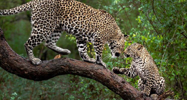 East Africa Discovery - T.S TOURS 10
