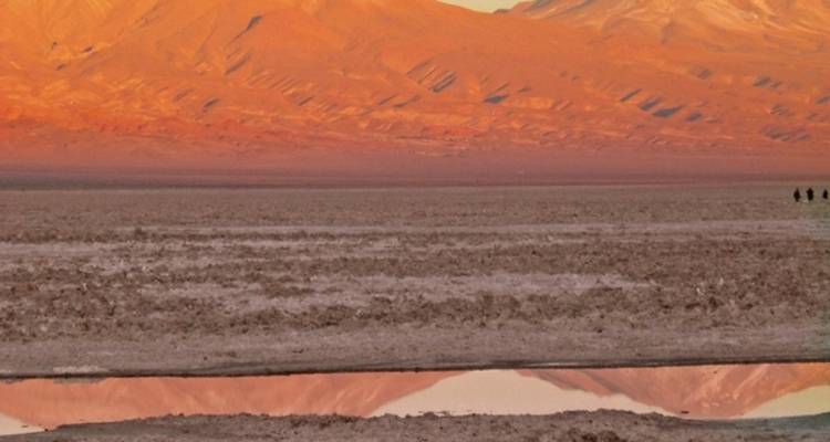 Natural wonders of the Altiplano & the legacy of the Incas - MEIERS WELTREISEN 6