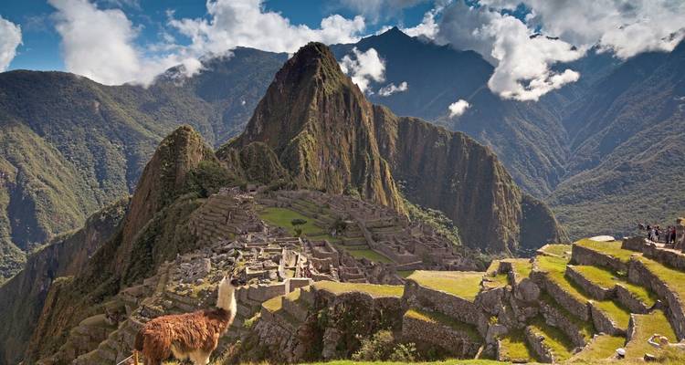 Diversity of Peru - Coast, mountains & jungle - MEIERS WELTREISEN 10