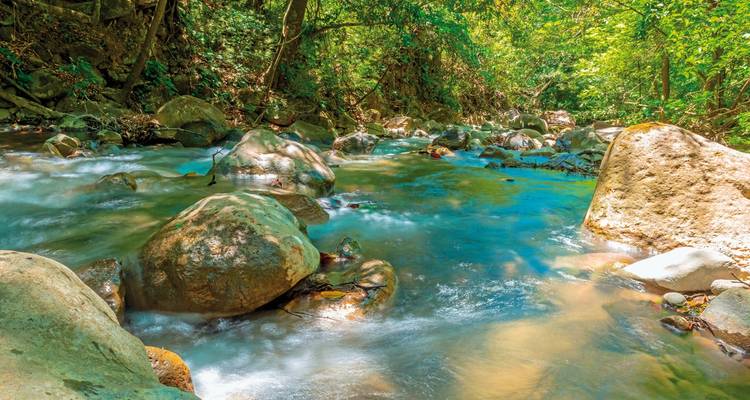 Un ruisseau clair qui coule à travers une forêt avec de gros rochers.