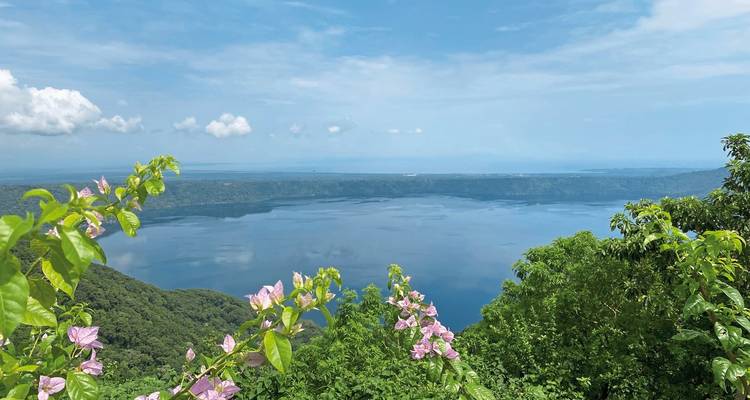 Vue panoramique d'un lac avec des fleurs roses au premier plan.