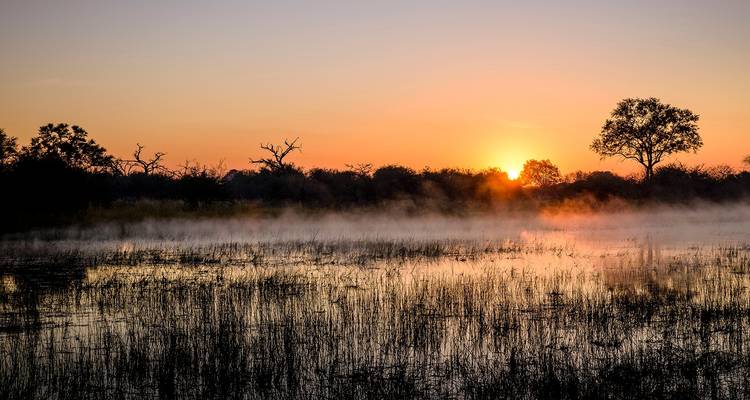 Okavango Delta & Khwai: Ultimate Safari Adventure - T.S TOURS 2