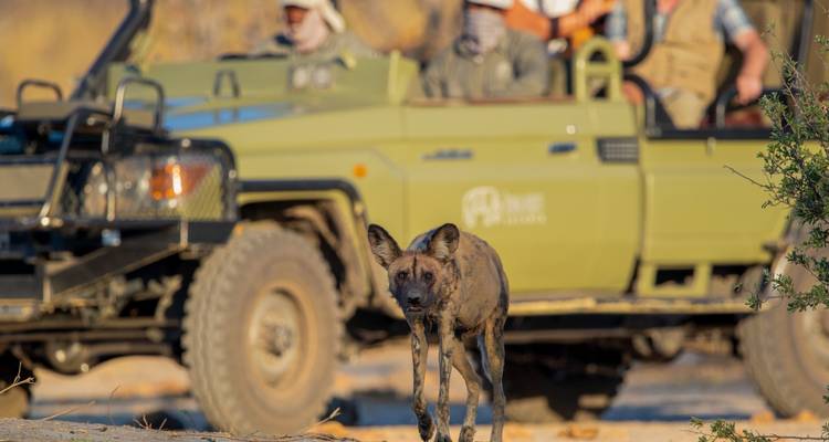 Okavango Delta & Khwai: Ultimate Safari Adventure - T.S TOURS 7