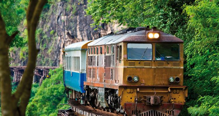 Tren viajando a través de vegetación exuberante en un puente.