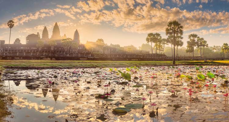 Temples of Angkor Wat with lotus-filled pond at sunrise.