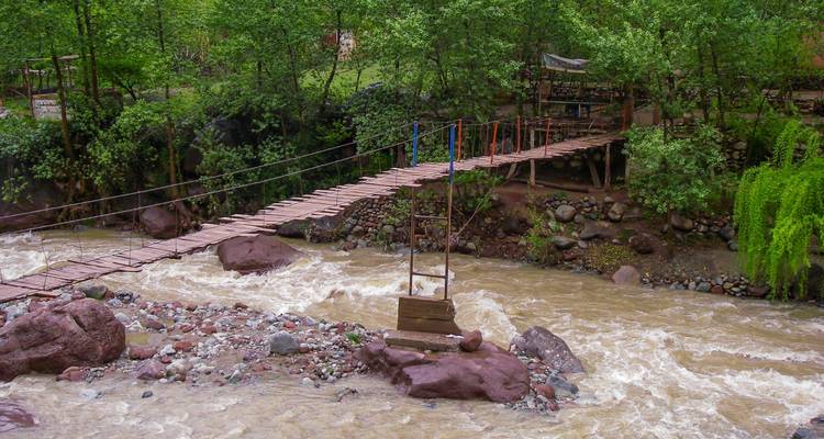 Rope bridge over a flowing stream surrounded by lush greenery.