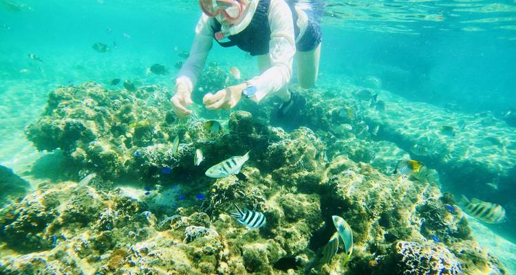Okinawa Tour - Tomato Travel 4