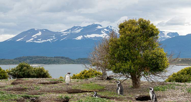 Group Tour - Southernmost Patagonia Jewels - People Travel and Experience 6