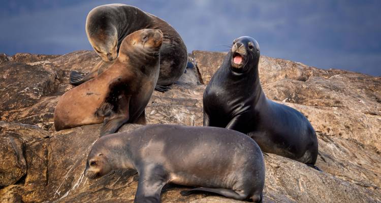 Group Tour - Southernmost Patagonia Jewels - People Travel and Experience 8