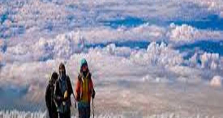 Paquete de vacaciones en Safari por Tanzania y excursión al Kilimanjaro - Kilingeadventures 2