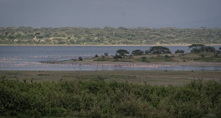 4 Days north Tanzania safaris - Serengeti Access Safaris 2