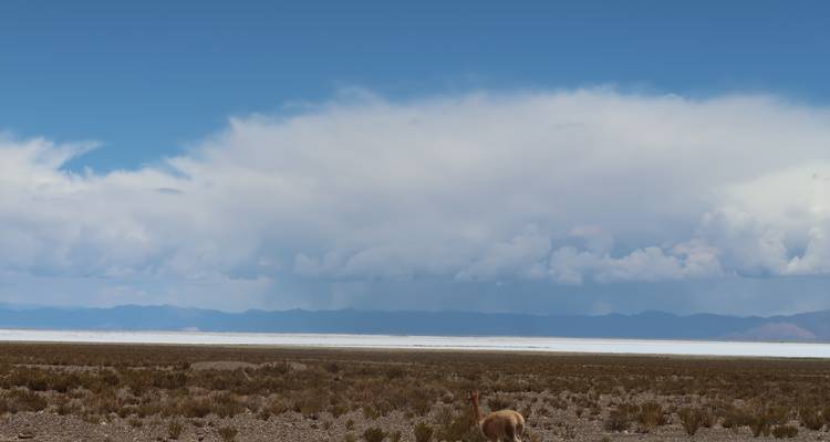 Northern of Argentina: local immersion - Mater Sustentable 3