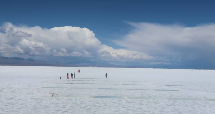 Northern of Argentina: local immersion - Mater Sustentable 4