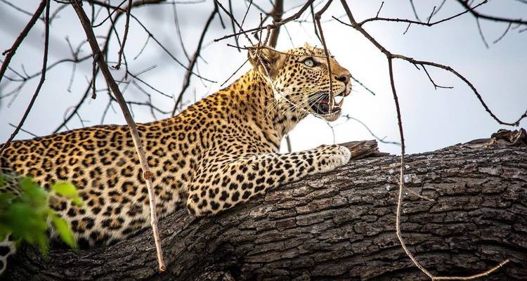 Great Migration Safari: Kenya & Tanzania Explorer - T.S TOURS 1