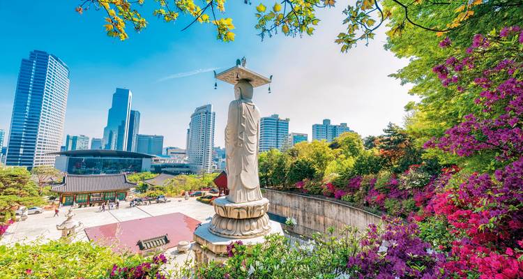 Große Buddha-Statue mit Stadtskyline im Hintergrund, umgeben von Grünpflanzen und bunten Blumen