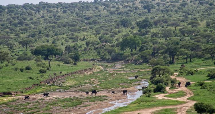 Expédition de 10 jours au cœur de la nature sauvage de Tanzanie - Serengeti Access Safaris 2