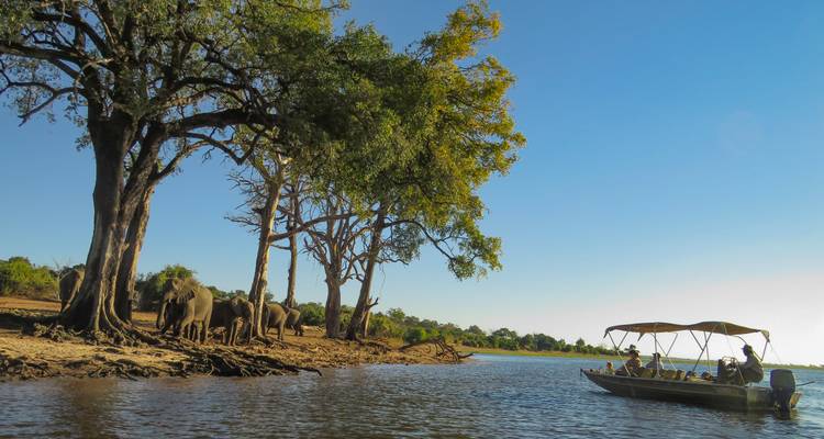Botswana - Parcs nationaux - Sunway Safaris 2