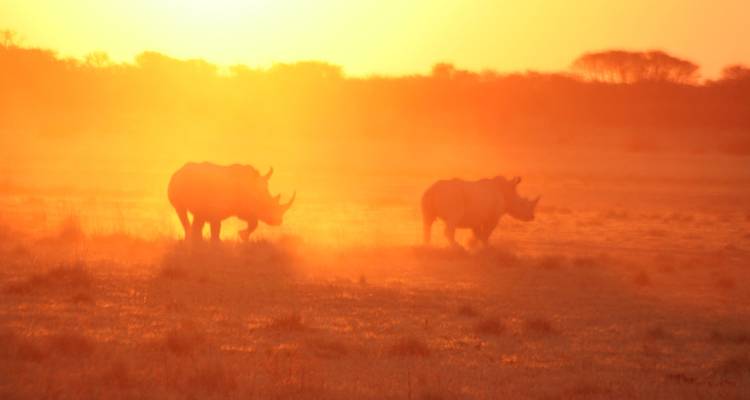 Botswana - Parcs nationaux - Sunway Safaris 10