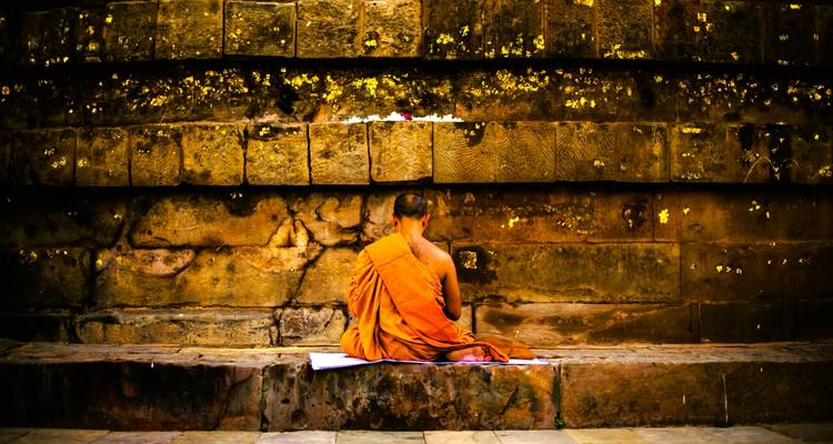 Entrancing Buddha’s Steps By Luxury Cruise India 20 Days - TTI TOURS 4