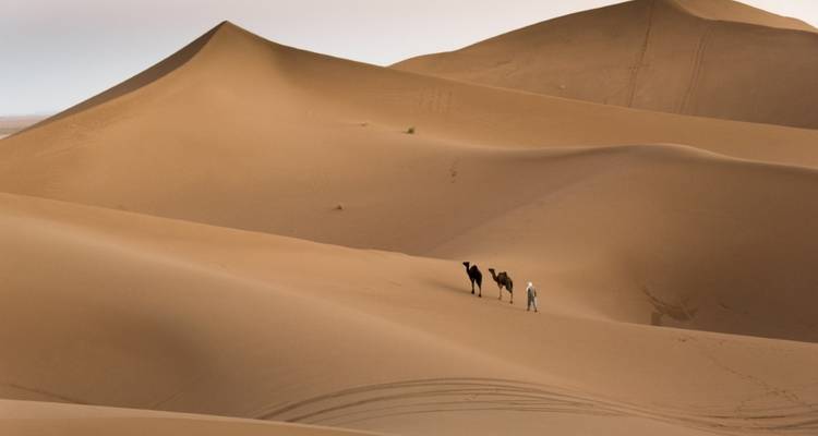 Escapade au Sahara : voyage de 7 jours à travers le Maroc - Morocco Top Adventures 2